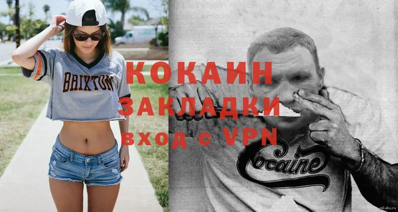 COCAIN Fish Scale  мега вход  Калининец 